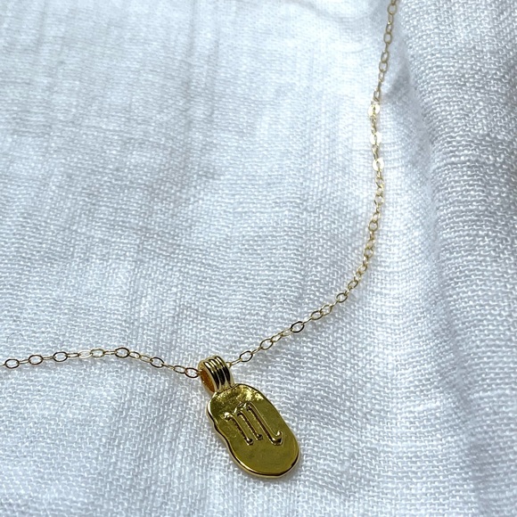 Scorpio Zodiac Sign Necklace 14K Gold-Fill Dainty Chain & Charm - Picture 4 of 4